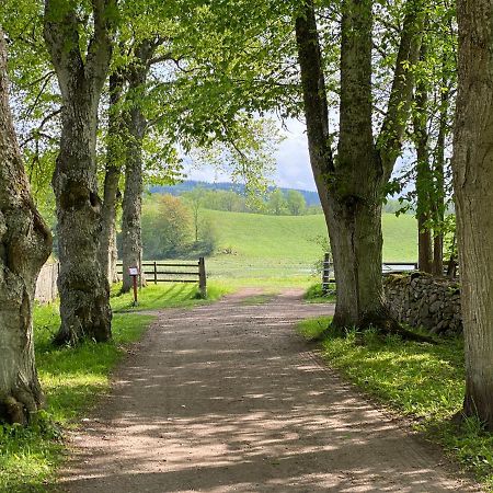 Klostergardens Vandrarhem Varnhem Zewnętrze zdjęcie